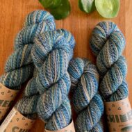 Chimera - Sea Breeze