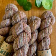 Chimera - Succulents